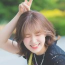호야네뒷고기 이미지