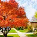 성신슈퍼 이미지