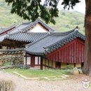 선암사 Daum카페