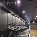 고고짐 단구점 이미지