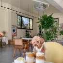 남양주자동차주식회사 이미지