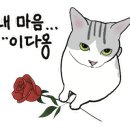 스타약국 이미지