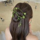 더바오컴퍼니 이미지