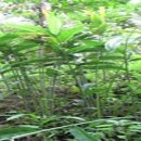 최고의 밥상 이미지