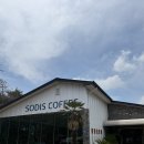 소디스커피 | 아이와 방문하기 좋은 경주 대형카페 소디스커피 내돈내산 후기