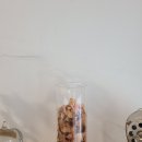 라이프이즌트쿨