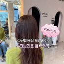 엘리 애견미용실 | 퍼스널컬러염색 핑크브라운 후기 / 다산 미용실 모엘리아 효리디자이너