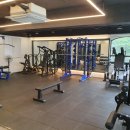 백곰 짐 이미지