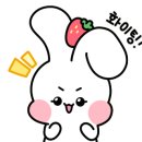 네일또바기 이미지