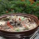 산청지리산약초 티스토리