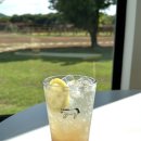 골든목장 | [제주카페] 목장카페 밭디 / 서귀포 / 이색체험 / 승마체험 / 아이와 함께 즐길 수 있는 카페