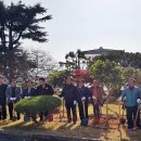 대덕읍 행정복지센터 이미지
