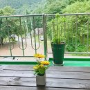 골안민박 이미지