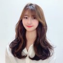 다솜헤어 네이버블로그