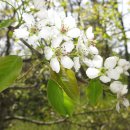 배나무한의원 이미지