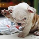 희망대로 이미지