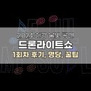 [자양] 뚝섬유원지 2024 한강 불빛 공연 드론라이트쇼 후기ㅣ위치, 시간, 회차 등 기본정보
