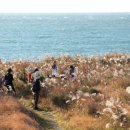 게으른 소나기 민박 이미지