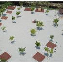 백운일출캠핑장 이미지