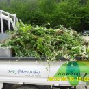 찬조농장 이미지