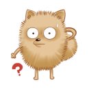 육회데이