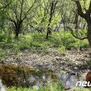 운곡자연체험학습장 이미지