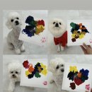 꾸니베어 이미지