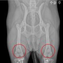 청송동물병원 이미지