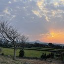 하도리 님과 함께 이미지