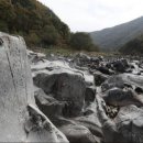 신성농장 이미지