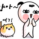 삼층고양이 네이버블로그