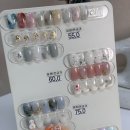 네일보네르 이미지