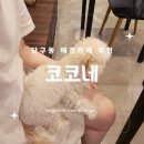 코코네 | [원주카페] 단구동 내돈내산 애견카페 방문후기, 코코네
