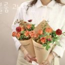 블룸블룸과천점 네이버블로그