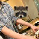 보문PC방 이미지