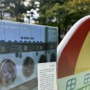 나로기획인쇄 | 여름밤 해변의 무무 씨, 그리고 소설가 조해진의 수요일[다산책방 다소 시리즈 1권]