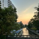 센트럴일층약국 | 가족여행_태국 센트럴월드 새마을식당 위치 태국소화제 ENO 스트립실 종류 파는곳 추천마사지