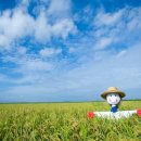 솔바우마을 이미지