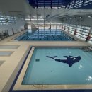 맹동혁신 국민체육센터(수영장) 이미지