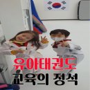 오로라 태권도장 이미지