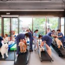 상하이 문 이미지