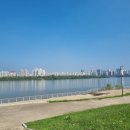 서림 행정사사무소 이미지