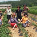 동산농장 이미지