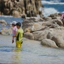 자작도 하우스 이미지