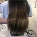 루시헤어 이미지