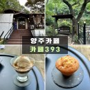 까페393 양주 | 양주 카페 [카페393] 캠핑 분위기 양주 디저트 맛집 솔직 후기