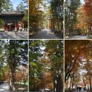 대한민국 최고의 단풍 명소 내장산, 선운사,내소사 단풍여행 11월07일(토)~08일(일)/1박2일 신청해 주세요. 이미지