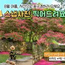 서산시, ‘관광 스냅사진 찰칵!’ 이벤트 진행(김면수의 정치토크) 이미지