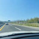 해녀잠수촌 | 제주 횟집 가성비 완벽한 해녀잠수촌 제주 고등어회 포장