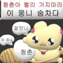 썸즈업